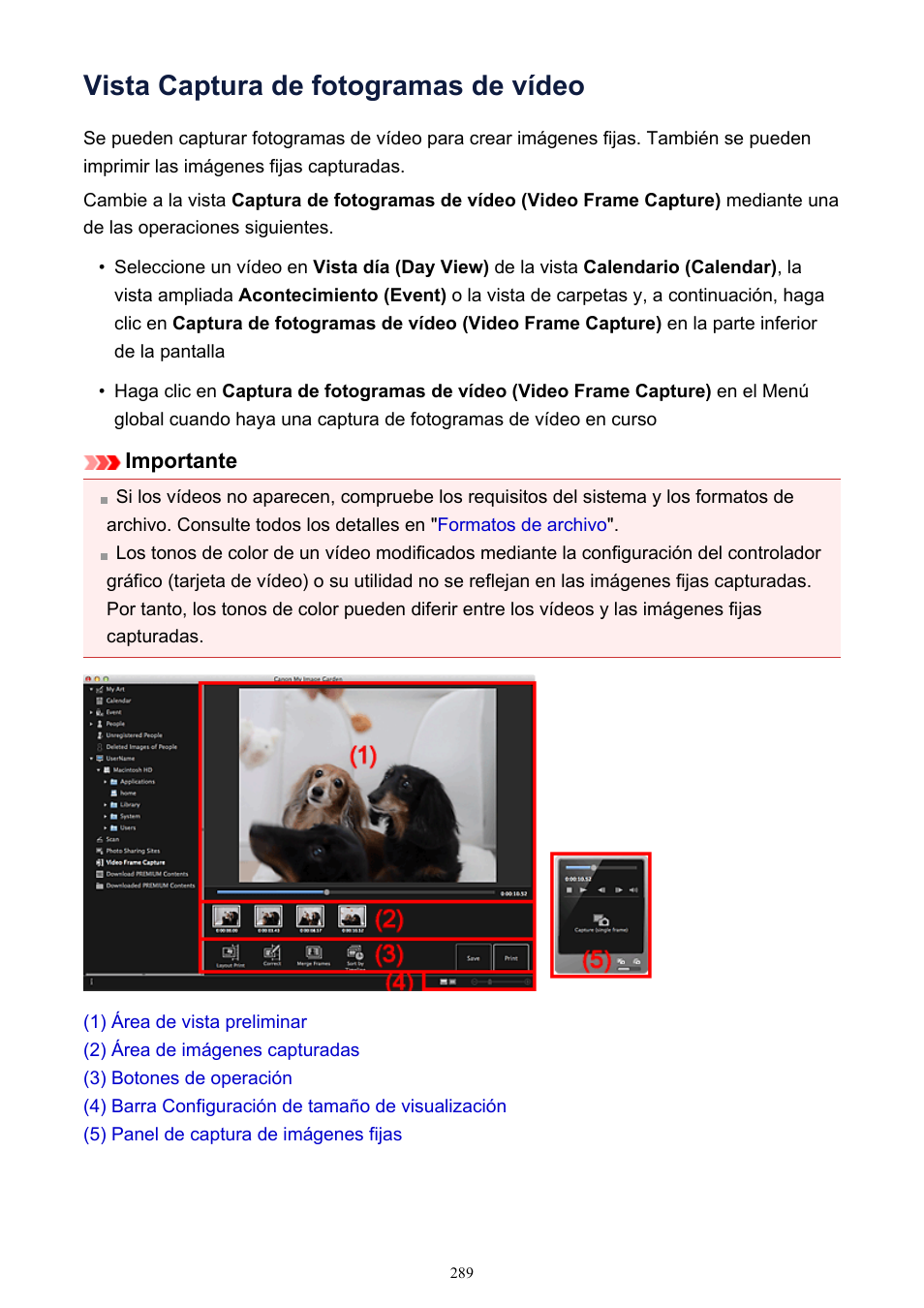 Vista captura de fotogramas de vídeo, Cambia a la, En la | Canon PIXMA PRO-10 Manual del usuario | Página 289 / 348
