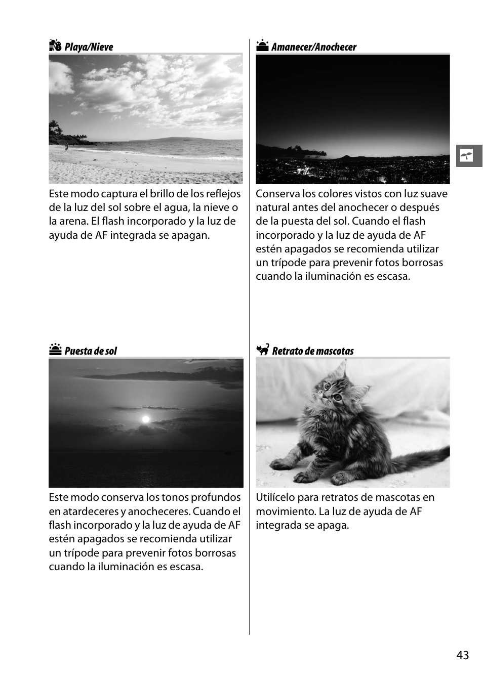 Playa/nieve, Puesta de sol, Amanecer/anochecer | Retrato de mascotas | Nikon D7000 Manual del usuario | Página 63 / 348