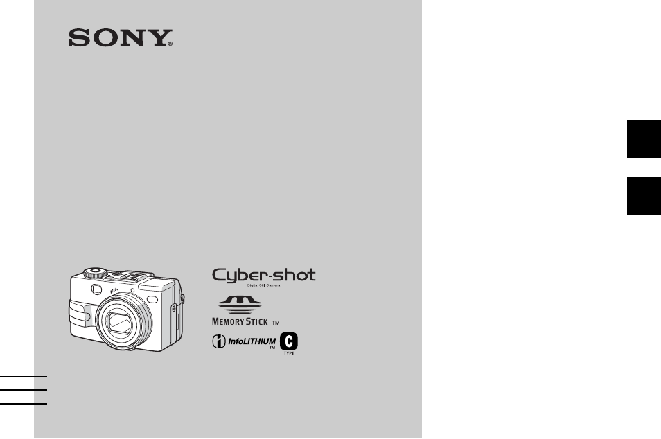 Sony DSC-V1 Manual del usuario | Páginas: 264